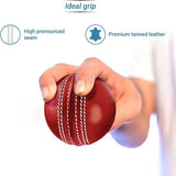 360 Cricket Red Leather Ball