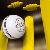 360 Cricket White Leather Ball