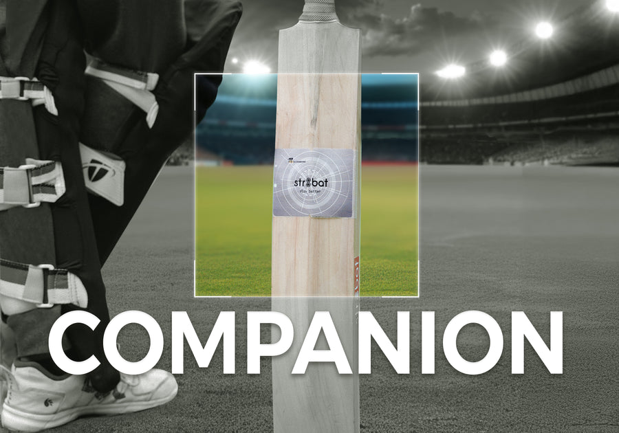 Companion