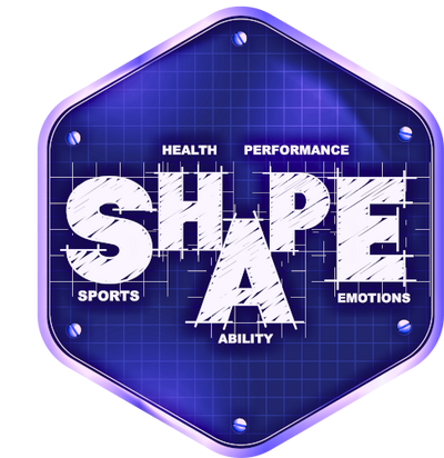 Shape  Applications India Pvt. Ltd